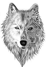 estrelastark