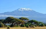 Blackmount