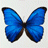 Floriana